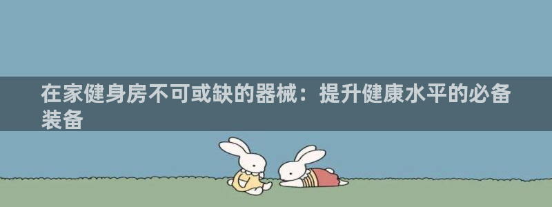 凯时国际娱乐官方网址：在家健身房不可或缺的器械：提升