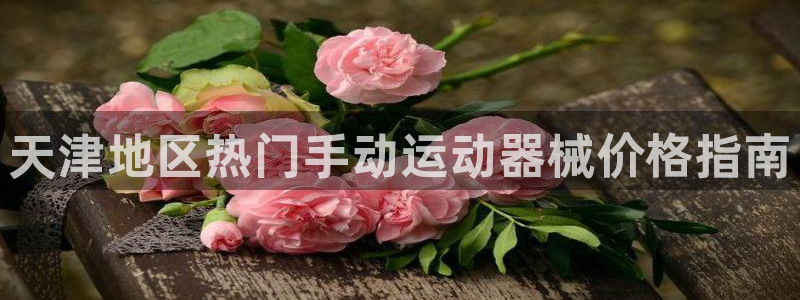 尊龙官网入口：天津地区热门手动运动器械价格指南