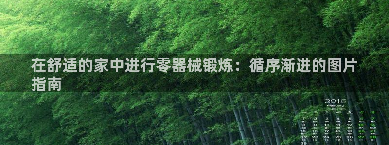 凯时kb88公司简介：在舒适的家中进行零器械锻炼：循