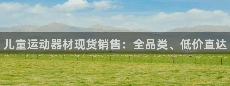 尊龙凯时人生就是搏官方网站：儿童运动器材现货销售：全