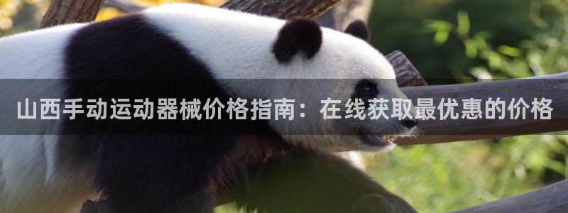 尊龙凯时官方网页：山西手动运动器械价格指南：在线获取