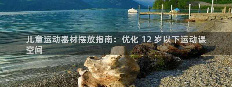 ZL尊龙凯时集团：儿童运动器材摆放指南：优化 12 