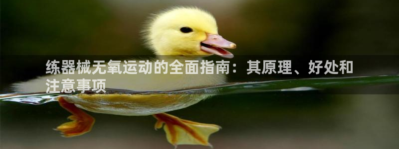 尊龙凯时官网网页版：练器械无氧运动的全面指南：其原理