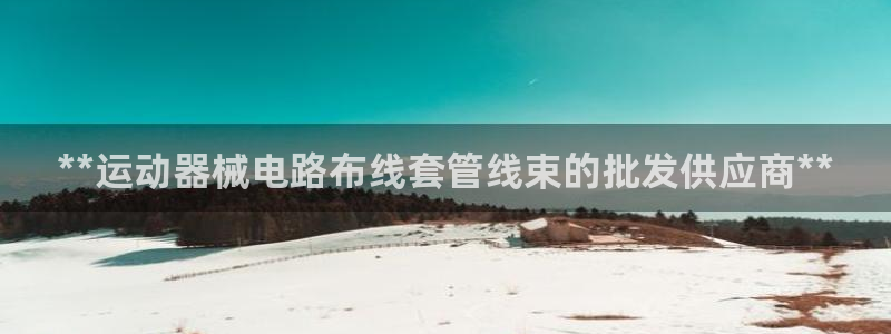 尊龙eight is enough：**运动器械电路