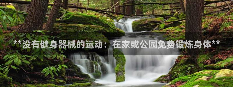 尊龙凯时论坛：**没有健身器械的运动：在家或公园免费
