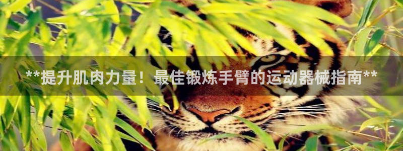 尊龙凯时网站首页手机登录：**提升肌肉力量！最佳锻炼