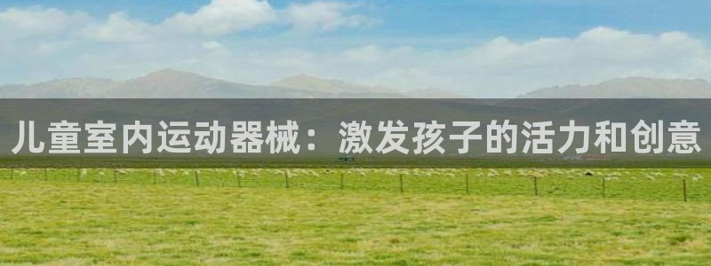 尊龙凯时充值不到账：儿童室内运动器械：激发孩子的活力