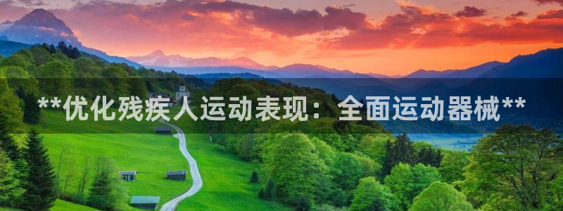 尊龙凯时怎么注册：**优化残疾人运动表现：全面运动器