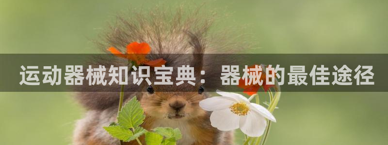 尊龙2020： 运动器械知识宝典：器械的最佳途径