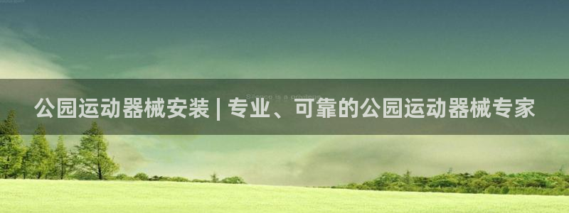 尊龙手机端下载：公园运动器械安装 | 专业、可靠的公