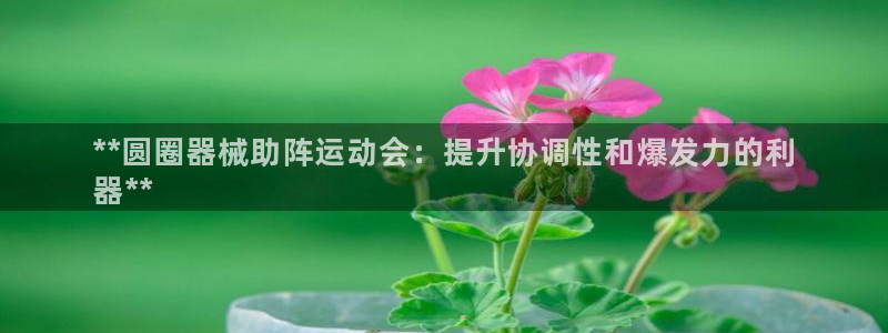 凯时app官方首页：**圆圈器械助阵运动会：提升协调