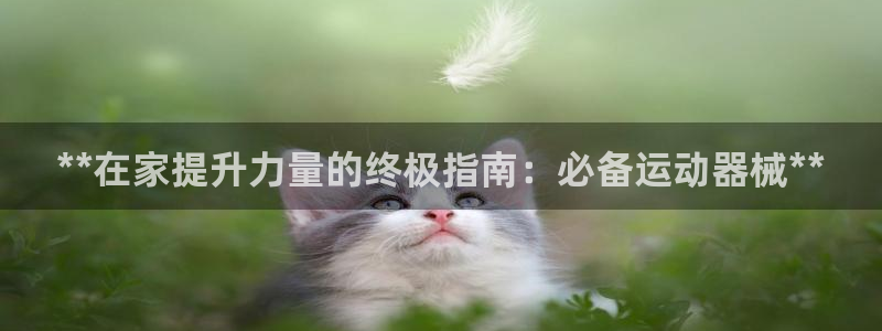 尊龙凯时旗舰厅官网：**在家提升力量的终极指南：必备