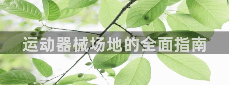 尊龙z6官网：运动器械场地的全面指南
