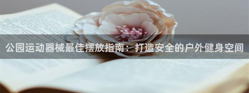 尊龙人生就是博ag旗舰厅：公园运动器械最佳摆放指南：
