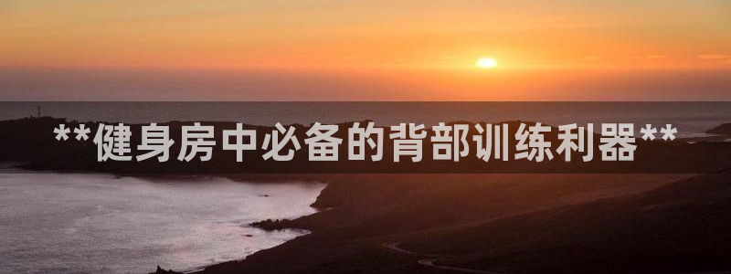 d88尊龙官方网：**健身房中必备的背部训练利器**