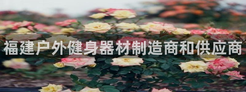尊龙王t400：福建户外健身器材制造商和供应商