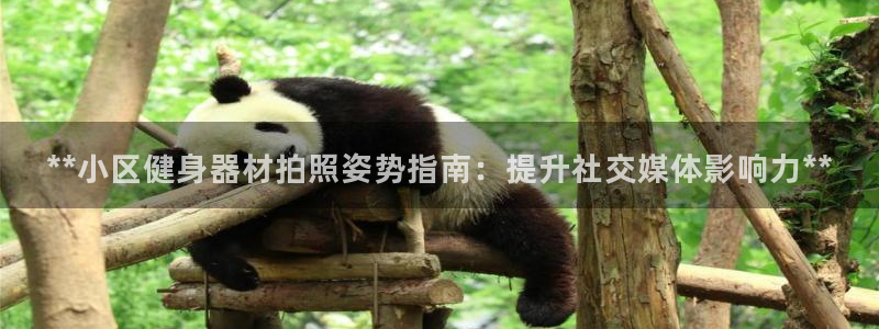 尊龙在线登录官网：**小区健身器材拍照姿势指南：提升