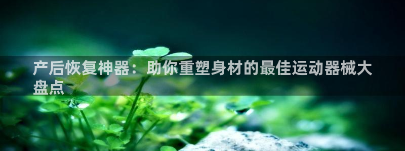 尊龙新版人生就是博!：产后恢复神器：助你重塑身材的最