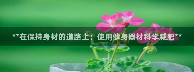 z6尊龙官网：**在保持身材的道路上：使用健身器材科