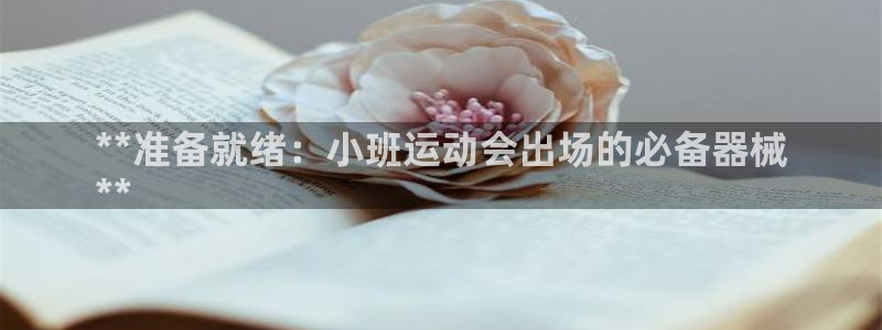 尊龙凯时代理佣金发不发：**准备就绪：小班运动会出场