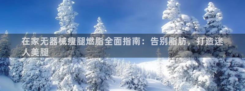 尊龙信息科技有限公司：在家无器械瘦腿燃脂全面指南：告