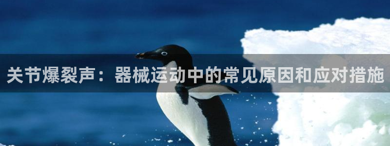 尊龙信息科技有限公司：关节爆裂声：器械运动中的常见原