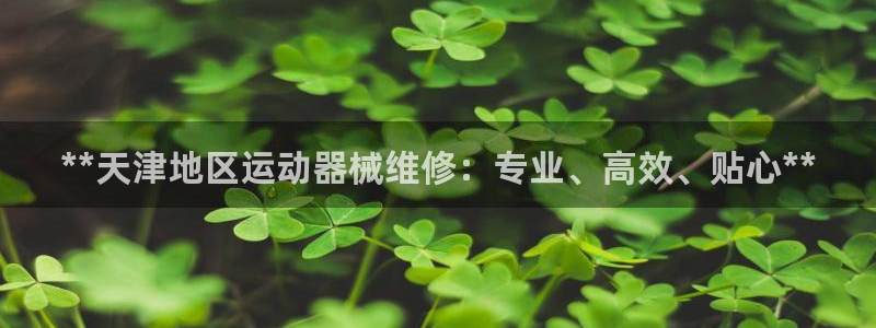 凯时国际官方版：**天津地区运动器械维修：专业、高效