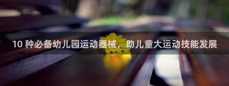 尊龙手机官方客户端下载：10 种必备幼儿园运动器械，