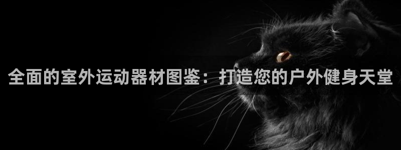 尊龙凯时网站赌愽做假吗：全面的室外运动器材图鉴：打造