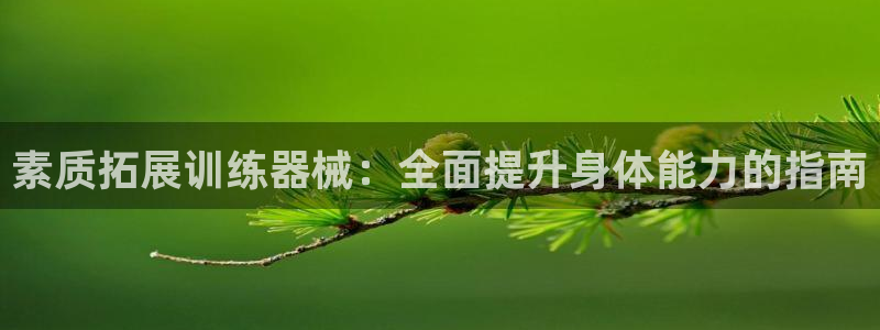 尊龙d88ag官方网站：素质拓展训练器械：全面提升身