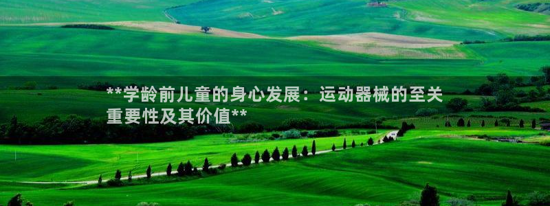 尊龙凯时官方网页：**学龄前儿童的身心发展：运动器械