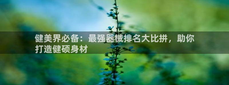 尊龙科技：健美界必备：最强器械排名大比拼，助你
打造