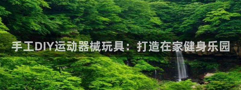 尊龙人生就是博d88官方网站：手工DIY运动器械玩具