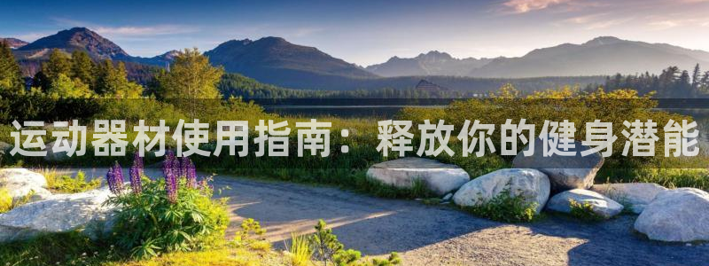 尊龙2020：运动器材使用指南：释放你的健身潜能