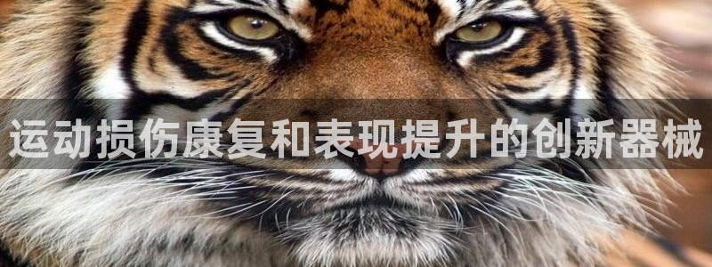 尊龙凯时 人生就是搏客服：运动损伤康复和表现提升的创