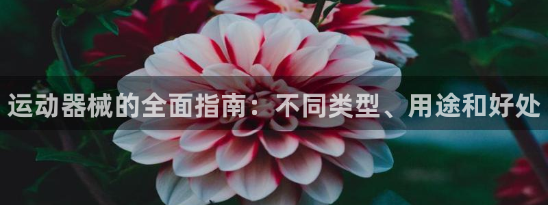 凯时登录首页,凯时K66：运动器械的全面指南：不同类