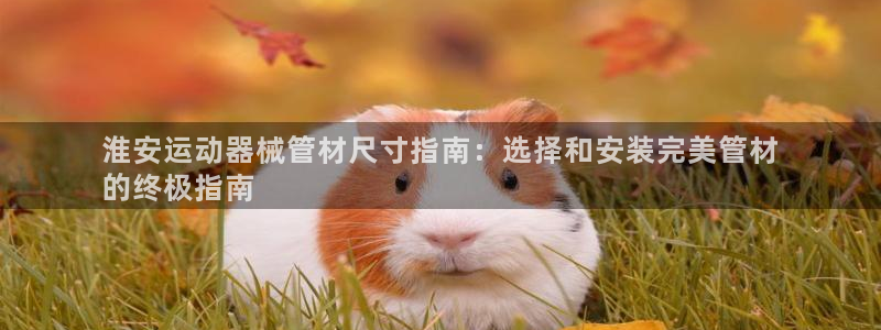 尊龙凯时人生就是博·(中国)：淮安运动器械管材尺寸指