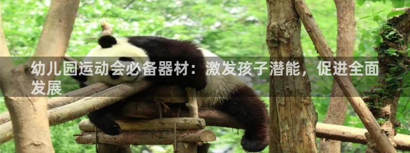 尊龙t500和t300区别：幼儿园运动会必备器材：激