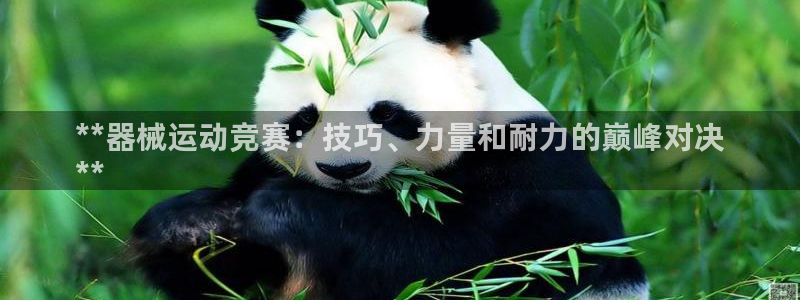 尊龙凯时人生就是搏首页：**器械运动竞赛：技巧、力量