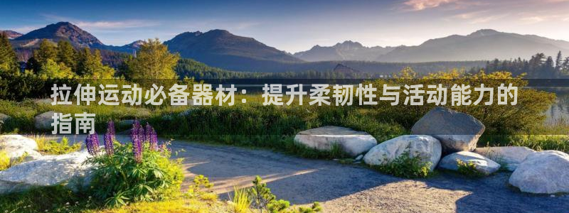 尊龙凯时出款：拉伸运动必备器材：提升柔韧性与活动能力