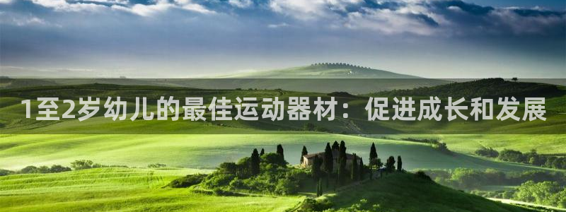尊龙凯时官网网页版：1至2岁幼儿的最佳运动器材：促进