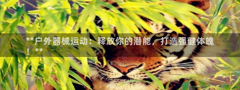 尊龙d88官网登录：**户外器械运动：释放你的潜能，
