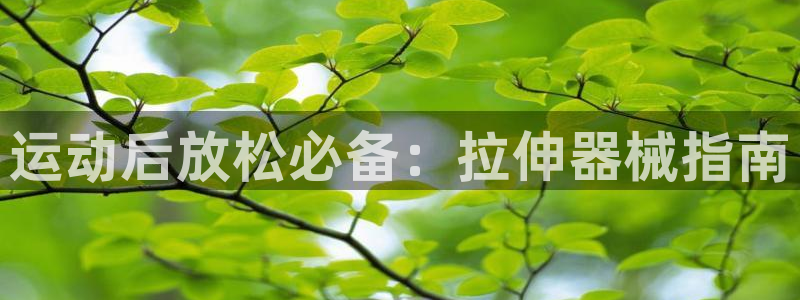 尊龙内地：运动后放松必备：拉伸器械指南