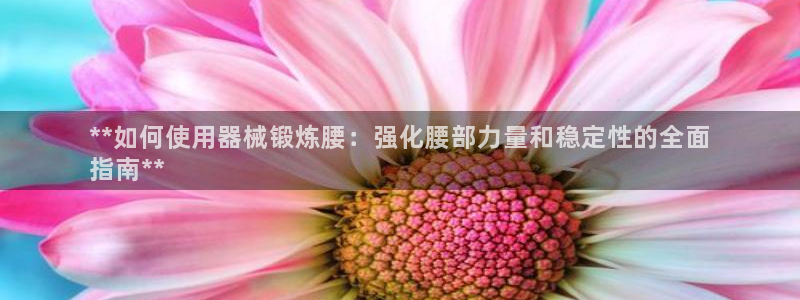 尊龙新版app首页：**如何使用器械锻炼腰：强化腰部