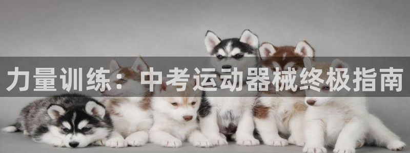 凯时官网：力量训练：中考运动器械终极指南