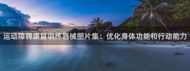 尊龙z6官网：运动障碍康复训练器械图片集：优化身体功