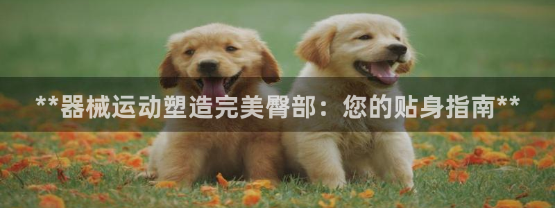 尊龙/人生就是博：**器械运动塑造完美臀部：您的贴身