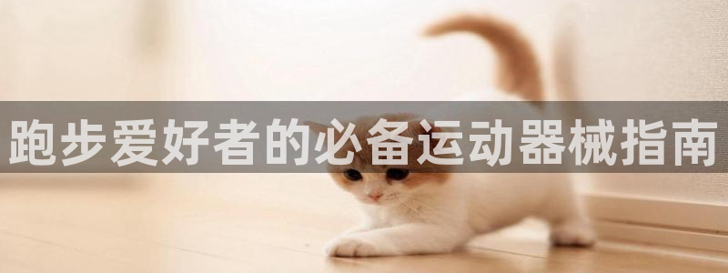 尊龙凯时不朽情缘：跑步爱好者的必备运动器械指南