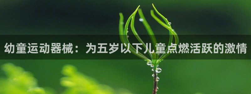 凯时在线平台官网：幼童运动器械：为五岁以下儿童点燃活
