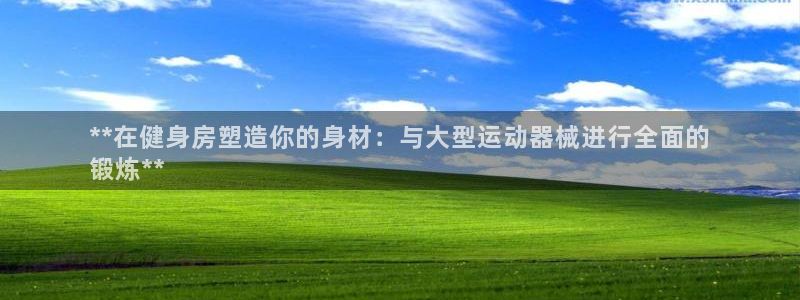尊龙t600：**在健身房塑造你的身材：与大型运动器